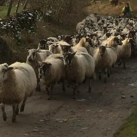 Luxurious Granny House Bell Busk In Malhamdale Holiday home