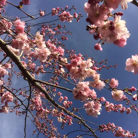 Holiday home Luxurious Granny House Bell Busk In Malhamdale