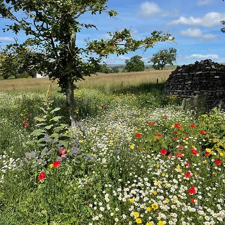Luxurious Granny House Bell Busk In Malhamdale