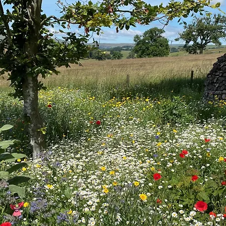 Luxurious Granny House Bell Busk In Malhamdale Ferienhaus