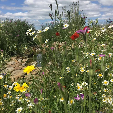 Ferienhaus Luxurious Granny House Bell Busk In Malhamdale