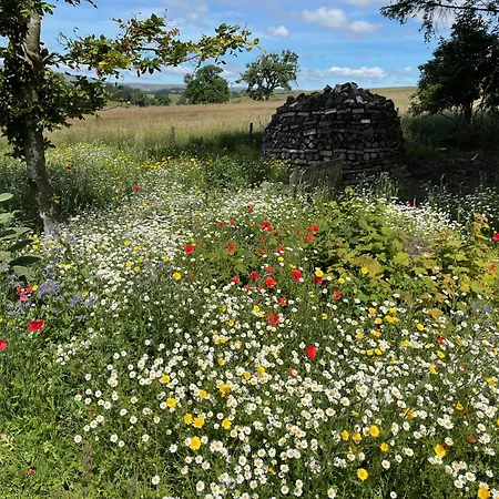 Luxurious Granny House Bell Busk In Malhamdale Skipton