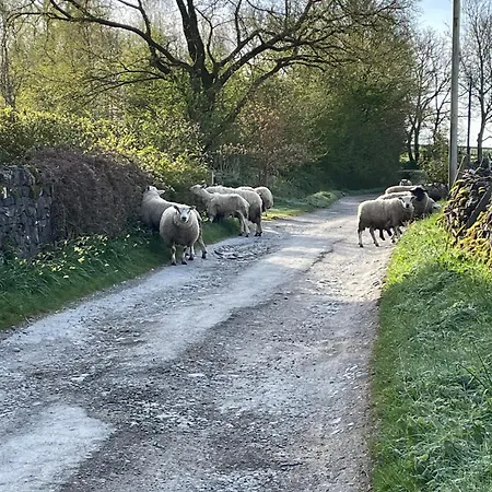 度假居 Cosy Granny House Bell Busk Near Malham With Fast Wifi And Views
