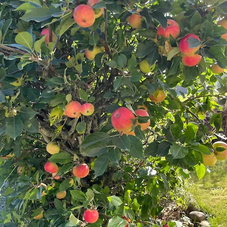 Luxurious Granny House Bell Busk In Malhamdale Skipton
