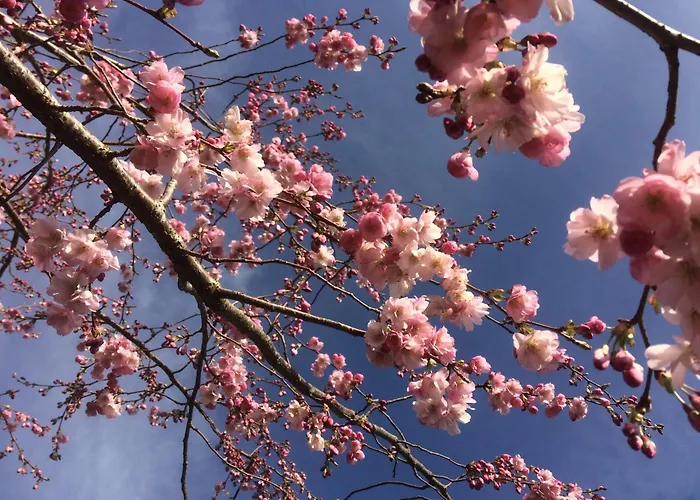Tatil Evi Luxurious Granny House Bell Busk In Malhamdale