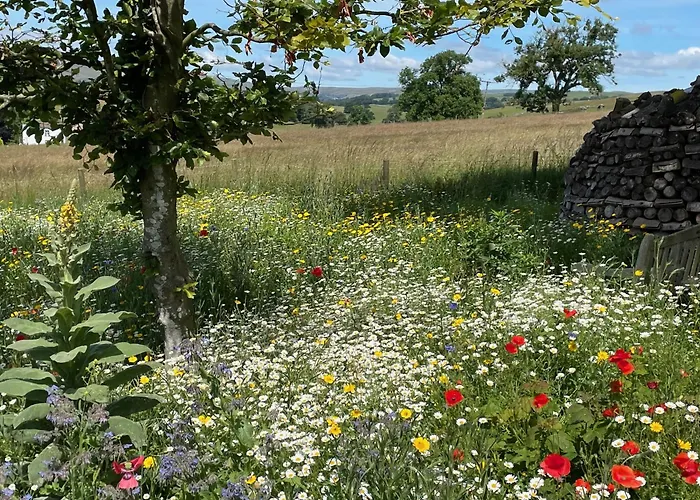 Luxurious Granny House Bell Busk In Malhamdale Tatil Evi