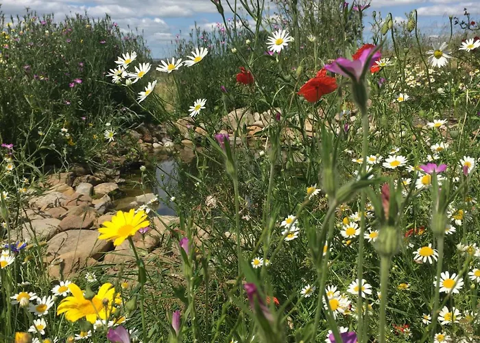 Tatil Evi Luxurious Granny House Bell Busk In Malhamdale