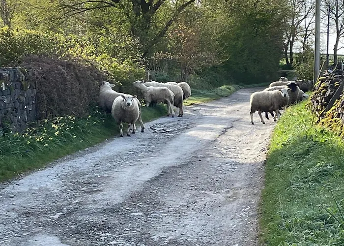 Tatil Evi Luxurious Granny House Bell Busk In Malhamdale