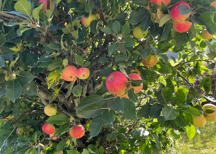 Luxurious Granny House Bell Busk In Malhamdale Skipton