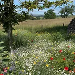 Luxurious Granny House Bell Busk In Malhamdale Semesterbostad
